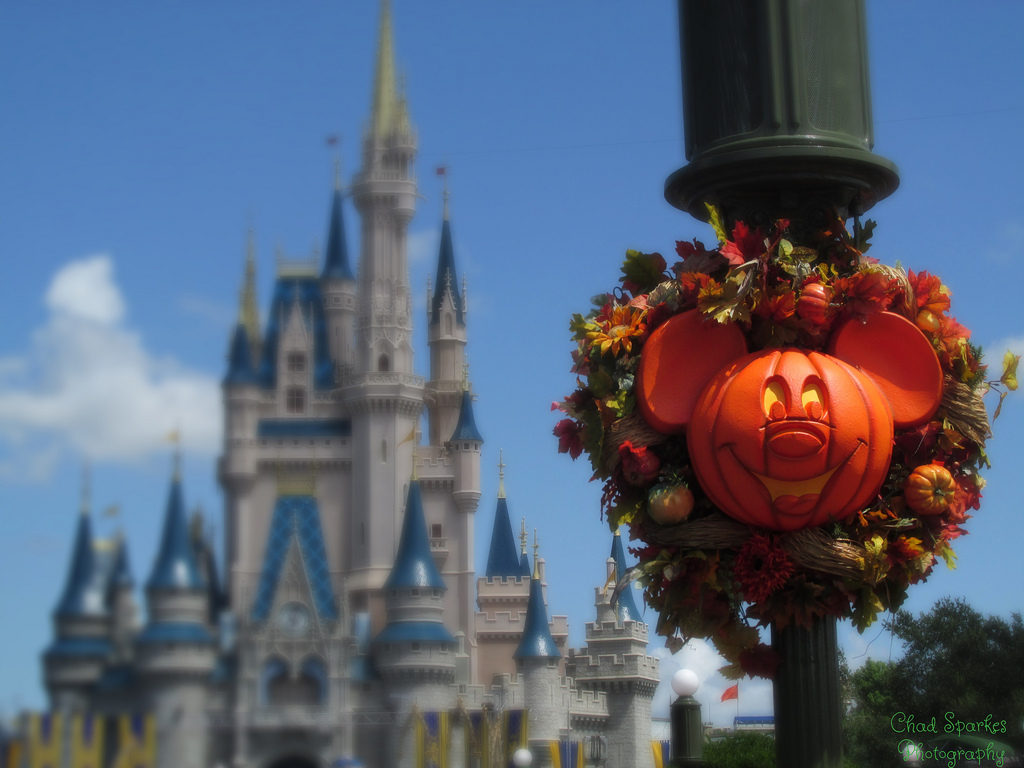 Fall decorations at Disney World