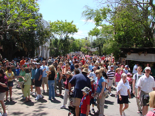 Crowd at Walt Disney World