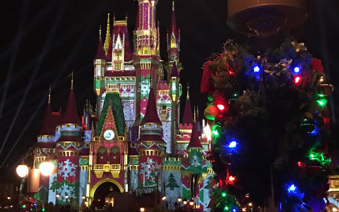 2020 WDW Christmas Photo Album