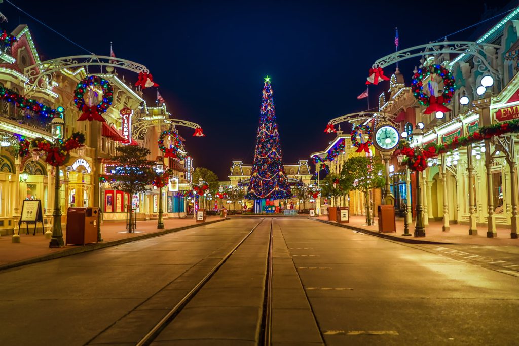 Christmas Tree at Walt Disney World
